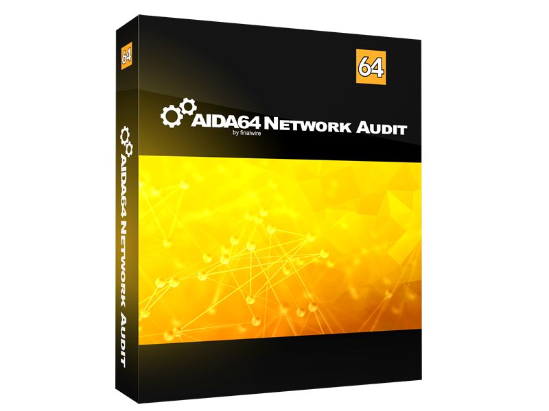 AIDA64 Network Audit