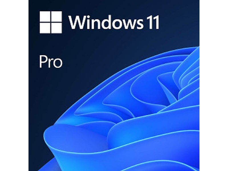 Windows 11 Professional 64-bit ENG